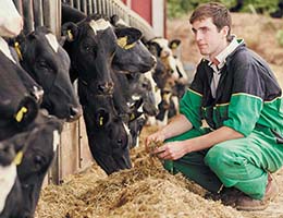 Animal Nutrition CA